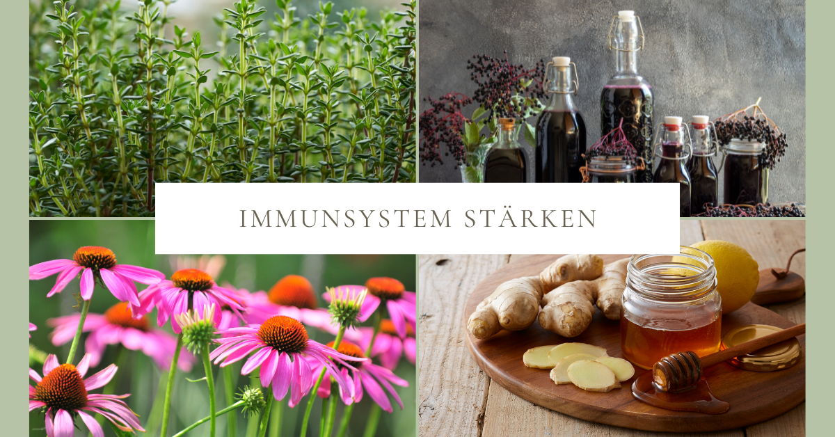 5 Hausmittel & Kräuter, die dein Immunsystem im Herbst stärken
