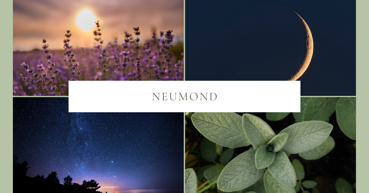 Neumond – Neubeginn mit der Kraft der Kräuter