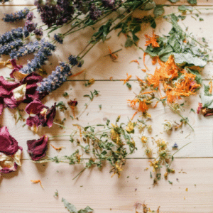 Die Kraft der Kräuter – Naturwissen für Küche, Gesundheit und Alltag