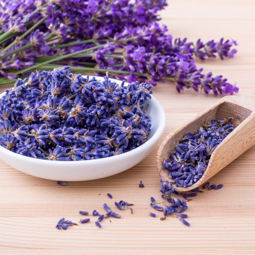 Lavendel: Mehr als nur Duft – Heilkraut für Gesundheit & Wohlbefinden