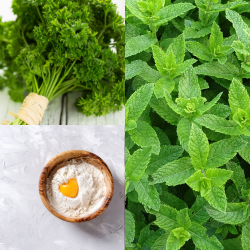 Atemfrischer-Kräuter-Snack für Hunde