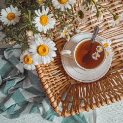 Anwendungen & Hausmittel mit Kamille