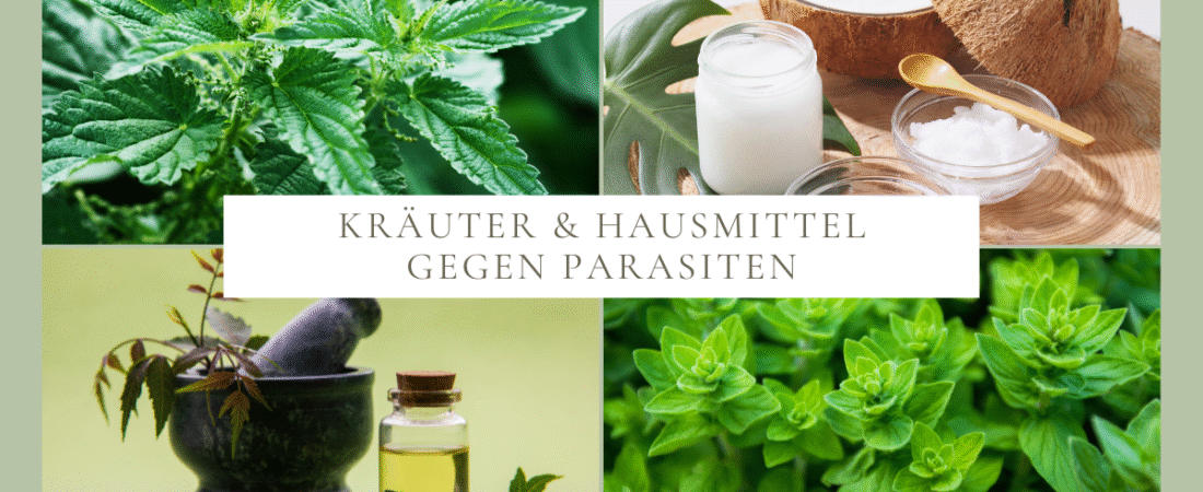 Parasiten beim Hund – natürliche Hausmittel & Kräuter gegen Zecken, Flöhe & Co.