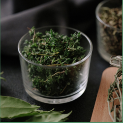 Thymian gegen Würmer beim Hund